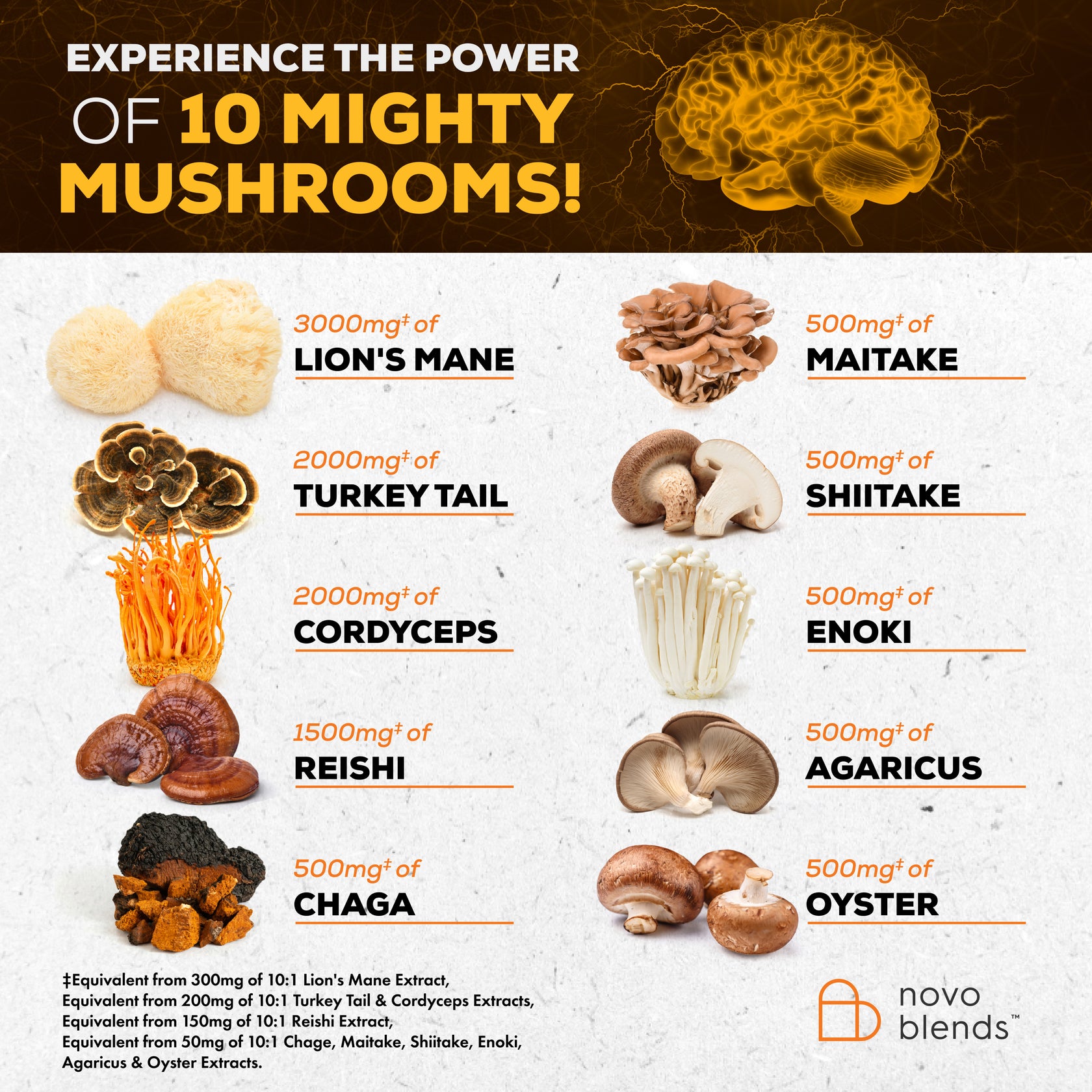 Mushroom Superblend – Novo Blends